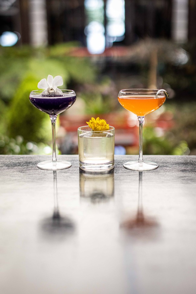 Drinks